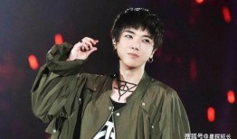 李宇春华晨宇最新爆料,揭秘音乐背后的故事与情感